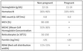 Anemia during pregnancy can lead to symptoms such as weakness, tiredness, fatigue, paleness, and in some severe cases even fainting, rapid heartbeat, and difficulty breathing. Anemia Cancer Therapy Advisor