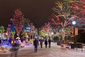 Zoolights Is Officially Coming Back To Lincoln Park Zoo This Year