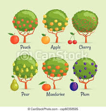 Animals christmas flower food fruit halloween leaves moon nature sky sun vegetables wedding. Fruit Trees Illustrations And Stock Art 47 400 Fruit Trees Illustration And Vector Eps Clipart Graphics Available To Search From Thousands Of Royalty Free Stock Clip Art Designers