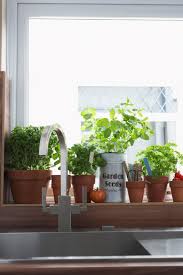 Some herb garden ideas can be as simple as throwing a few seeds in a trio of tin pails and setting them on your kitchen window sill. Indoor Herb Garden How To Make A Kitchen Herb Garden