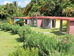 Maybe you would like to learn more about one of these? Hotel Las Cuevas Sprachcaffe Reisen
