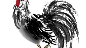 Ada 4 shio yang bakal panen rezeki. Peruntungan Shio Hari Ini Selasa 6 Juli 2021 Agar Tenang Meditasi Teh Hijau Ayam