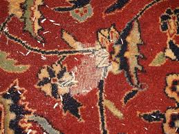 Moth Larvae Can Cause Considerable Amount Of Damage To A Wool Rug They Feed On The Keratin In The Wool Fiber Inspect Your Rug Regu Wool Rug Rugs Oriental Rug