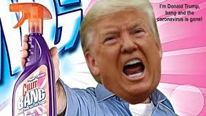 Letters to the Editor