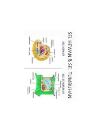 Vakuola adalah organel penting yang terdapat pada sel tumbuhan, hewan, protista, bakteria, dan fungi/jamur. Tugas Smp Kelas 1