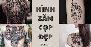Đam mê sẽ làm bạn thấy hay hay và tự tin hơn.một hình xăm có thể may mắn ? Hinh XÄƒm Cá»p Ä'áº¹p Cho Nam Ná»¯ Tattoo Con Cá»p Bit LÆ°ng