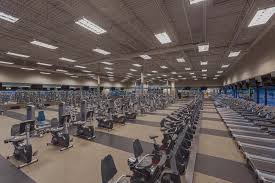 fitness 19 gym memberships affordable