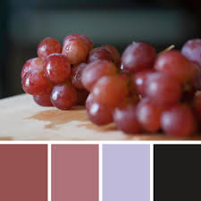 325 colourlovers viewed this page and think atomicds is better than the best. Two Decades With Pantone Color Of The Year Approval Studio