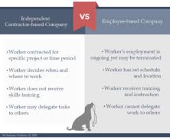 Advantages Of Dog Walker Vs Independent Contractors Dogs