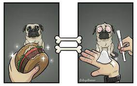 These Illustrations Perfectly Show How Dogs View The World Dog Logic Funny Illustration Your Dog
