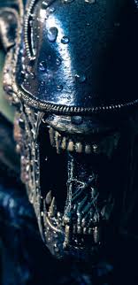 We also have separate iphone 12 pro and 12 pro max wallpapers. Xenomorph Figure Creepy Alien Vs Predator Alien Vs Predator Wallpaper Iphone 1440x2960 Wallpaper Teahub Io