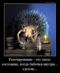 скачать песню а вы не знаете почему живот болит Babochki Sdohli