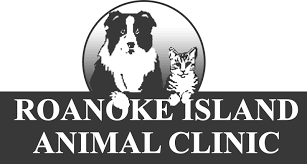 We offer a full range of veterinary services to care for every medical. Roanoke Island Animal Clinic Home