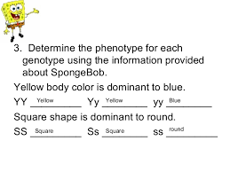 Pearson mathematics 7 answers , 3 1 review reinforcement answer key , rs aggarwal 11th maths solution. Bikini Bottom Genetics Practice 4 02 Answers