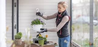 Eso sí, en épocas de calor necesita que la riegues todos los días para que no se seque. Plantas Colgantes Para Terrazas Y Balcones