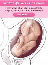 Pin On Preggo Stuff