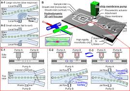 Breakthrough is the most touching movie i have ever seen i cried! Breakthrough In Purification Of Fossil Pollen For Dating Of Sediments By A New Large Particle On Chip Sorter Science Advances