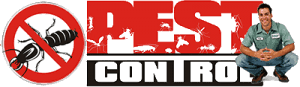 Professional pest companies help control, prevent and eliminate both household and structural pest in an effective and efficient manner using products and techniques that they have. Pest Control Gold Coast Call Our 24hr Hotline 07 3085 9219