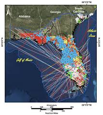 florida (blue circles