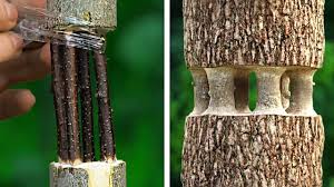 50 ideas, tricks, and tips for teaching kindergarten. 32 Fantastische Pflanz Hacks Und Diy Gartenideen Garten Gadgets Und Tools Youtube