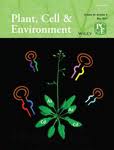 We did not find results for: Plant Cell Environment Wiley Online Library