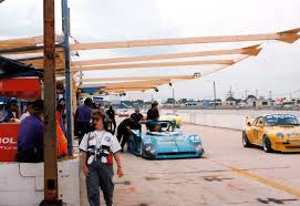 Image result for Dark Fernleaf 1995 Sebring