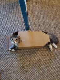 Will walmart reimburse me if my delivery is stolen? If It Fits It Ships Funny
