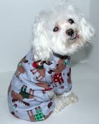 10 Pet Holiday Apparel Ideas Pet Holiday Holiday Outfits Dog Clothes