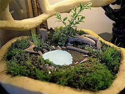 Check spelling or type a new query. How To Create Miniature Gardens