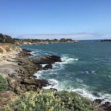 Photos at Gualala Point Regional Park - Trail