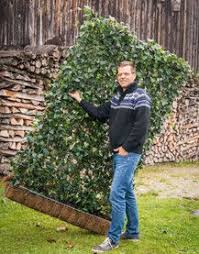 Immergrune Hecken Aus Efeu Heckenpflanzen Efeu Direkt Zum Einsetzen Pflegeleicht Und Blickdicht Heckenpflanzen Garten Anpflanzen