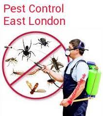 Our pest control company is on target to expand by over 13% this year making us one of the ten. Pest Control East London E E1 Competitive Local Rates Insurance Approved