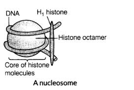 Pin On Cbse Notes