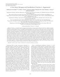 Image result for Strychnos matopensis