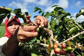 Kebutuhan pokok adalah kebutuhan yang harus segera di penuhi dan tidak bisa di tunda, misalnya. Jenis Jenis Pekerjaan Berdasarkan Letak Geografis Halaman All Kompas Com
