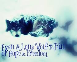 Maybe you would like to learn more about one of these? Husky Quotes Tumblr Wolf Pictures With Sayings Lone Wolf Quotes Tumblr Lone Wolf Dogtrainingobedienceschool Com