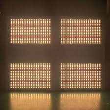 Both northern grow lights and johnson grow lights were 1 man show each. Lm301b 550 V2 480w Indoor Used Led Grow Light For Quantum Board Growing Lamps Aliexpress