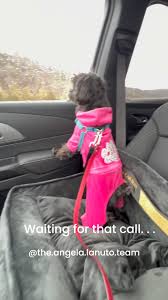 Are you ready for your call? DM @the.angela.lanuto.team and let us get you  from sale to SOLD! 🏡#theangelalanutoteam  #matchinghudsonvalleypropertiestoyourlifestyle #topproducingrealestateteam  ...