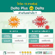 Jan 05, 2021 · ไวรัสโคโรนา : Covid 19 4 à¸ªà¸²à¸¢à¸ž à¸™à¸˜ à¸­ à¸™à¸•à¸£à¸²à¸¢à¹ƒà¸™à¹„à¸—à¸¢à¸— à¸• à¸­à¸‡à¸£à¸°à¸§ à¸‡ à¹‚à¸£à¸‡à¸žà¸¢à¸²à¸šà¸²à¸¥à¸¨ à¸„à¸£ à¸™à¸—à¸£