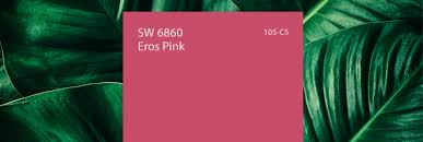Color of the Month February 2019: Eros Pink