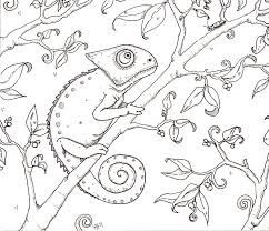 Stunning black and white drawing to print and color with lush vegetation hiding many animals. Chameleon Coloring Page Coloring Pages Chameleon Color Chameleon Art