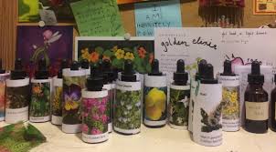 British physician edward bach left allopathic medicine in the 1930's to focus solely on flower essences. Enosburgh Essences