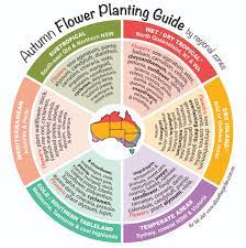 Check spelling or type a new query. Autumn Flowers Planting Guide By Regional Zones About The Garden Magazine