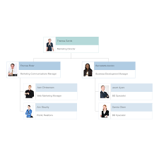 organizational chart example