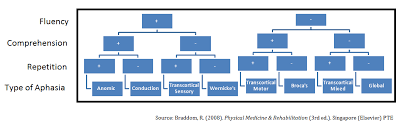 Aphasia What Physical Therapists Can Do For Their Patients