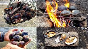 Remove the lid and check for any unopened. What Color Should Mussels Be When Cooked