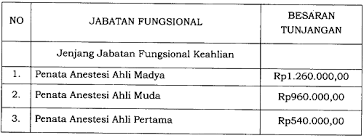Kementerian pendayagunaan aparatur negara dan reformasi birokrasi republik indonesia. Tunjangan Fungsional Penata Anestesi Dan Asisten Penata Anestesi