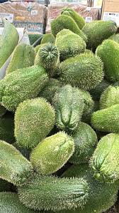 Image result for Sechium