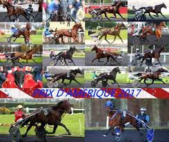 Les 18 Partants Du Prix D Amerique 2017 Courses Hippiques Hippique Courses