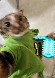 Patches Dream Team Dream Art Minecraft Fan Art